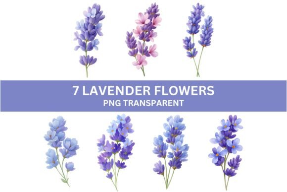 Download 7 Watercolor Lavender Flowers PNG - Flowers Collection
