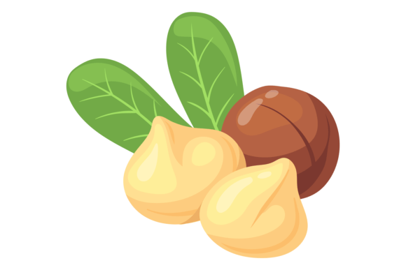 Download Macadamia Nut Cartoon Icon. Healthy Prot - Premium Bundle